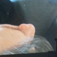 überARBEIT@ Probenfoto | Bild: Martin Patze